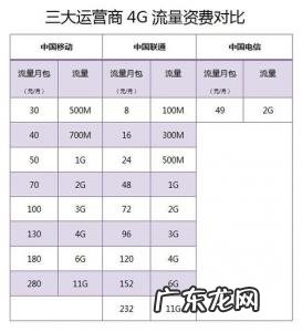 中国移动副卡资费标准