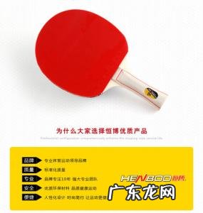 乒乓球拍品牌排名