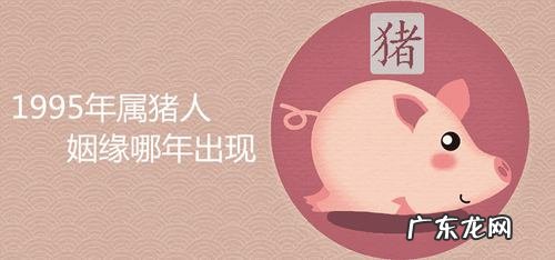 九五年属什么生肖