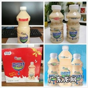 乳酸菌饮料前十名