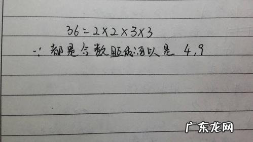 互质是什么意思