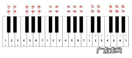 五线谱1234567表示图