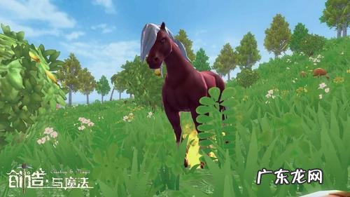 创造与魔法红马饲料