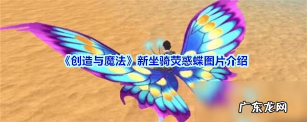 创造与魔法飞行坐骑大全