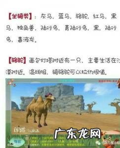 创造与魔法黑马饲料