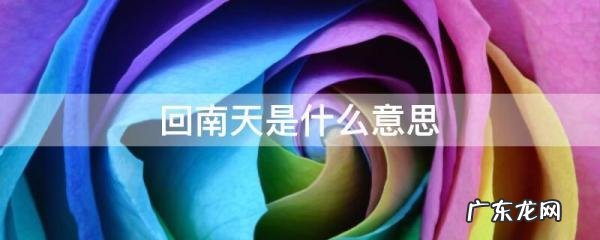 回南天什么意思