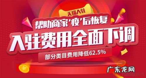 天猫专营店入驻