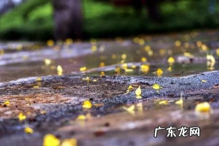 天青色等烟雨古诗全文朗读 天青色等烟雨古诗全文