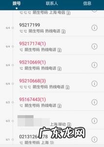 好用的网络电话