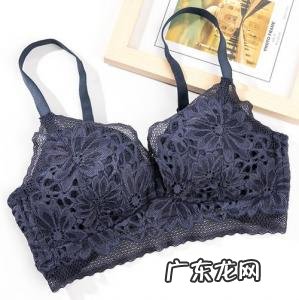 女士内衣品牌排行榜