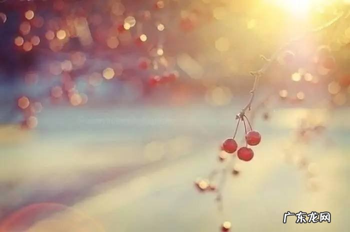 尘埃落定是什么意思