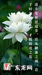 居安思危是什么意思