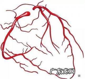 心窝部位置图片