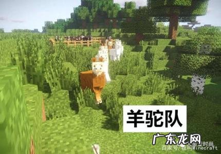 我的世界怎么驯服羊驼