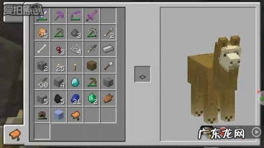 我的世界怎么骑羊驼