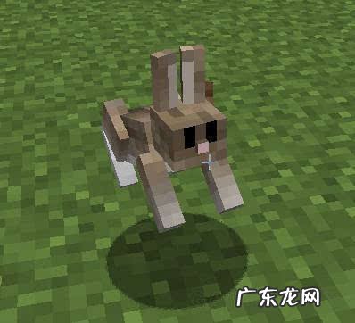 我的世界怪物图鉴