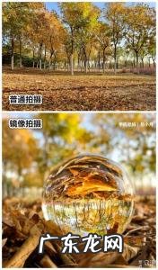 手机摄影技巧大全