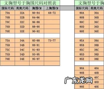 三围尺寸对照表