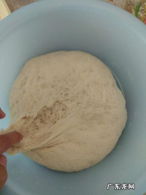 做包子怎么发面