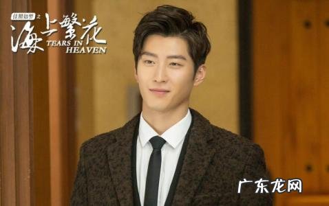 佳期如梦之海上繁花电视剧