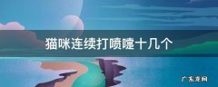猫咪连续打喷嚏十几个 猫咪连续打喷嚏十几个呕吐