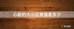 心脏的大小正常值是多少 心脏大小正常范围值