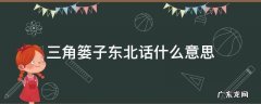 三角篓子东北话什么意思 东北人说的三角篓子
