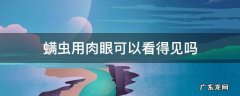 螨虫用肉眼可以看得见吗 螨虫肉眼可以看见吗?