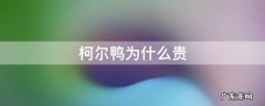 柯尔鸭为什么贵 柯尔鸭凭什么那么贵