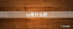 cp是什么呀 cp是什么呀?