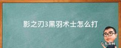 影之刃3黑羽术士怎么打 影之刃3黑羽术士怎么过