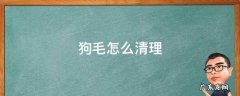 家里到处都是狗毛怎么清理 狗毛怎么清理