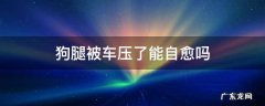 狗狗腿被自行车压了,多久自愈 狗腿被车压了能自愈吗