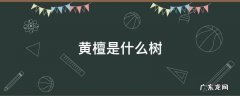 黄檀是什么树 黄檀树长什么样图片