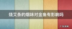 烧艾条的烟味对金鱼有影响吗 艾条烧的烟闻了有害吗