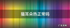 猫耳朵热正常吗 猫耳朵热热的正常吗