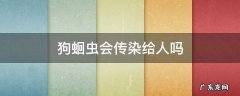 狗蛔虫会传染给人吗 狗狗蛔虫病会不会传染给人