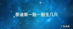 泰迪第一胎一般生几只,肚子特别小 泰迪第一胎一般生几只