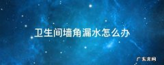 卫生间边角漏水怎么办 卫生间墙角漏水怎么办