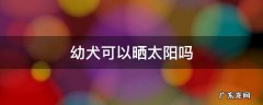 幼犬可以晒太阳吗 幼犬晒太阳必须在太阳底下吗