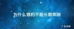 猎豹能不能长跑 为什么猎豹不能长期奔跑