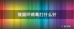 猪圆环病毒打什么针 猪圆环病毒打什么针剂