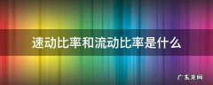 速动比率和流动比率是什么 流动比率和速动比率有什么区别