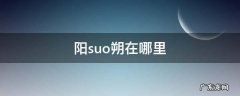 阳suo朔在哪里 坐船 阳suo朔在哪里