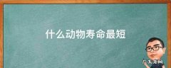 什么动物寿命最短 什么动物寿命最短前十名