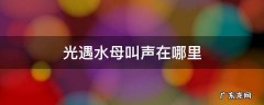 光遇水母叫声在哪里 光遇水母叫声位置