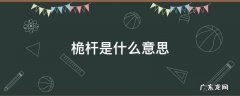 桅杆是什么意思? 桅杆是什么意思