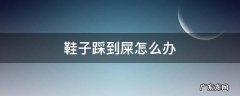 鞋子踩到屎了怎么办 鞋子踩到屎怎么办