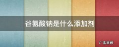 谷氨酸钠是什么添加剂 酱油谷氨酸钠是什么添加剂