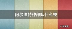 阿尔法特种部队什么梗 阿尔法特种部队是什么梗